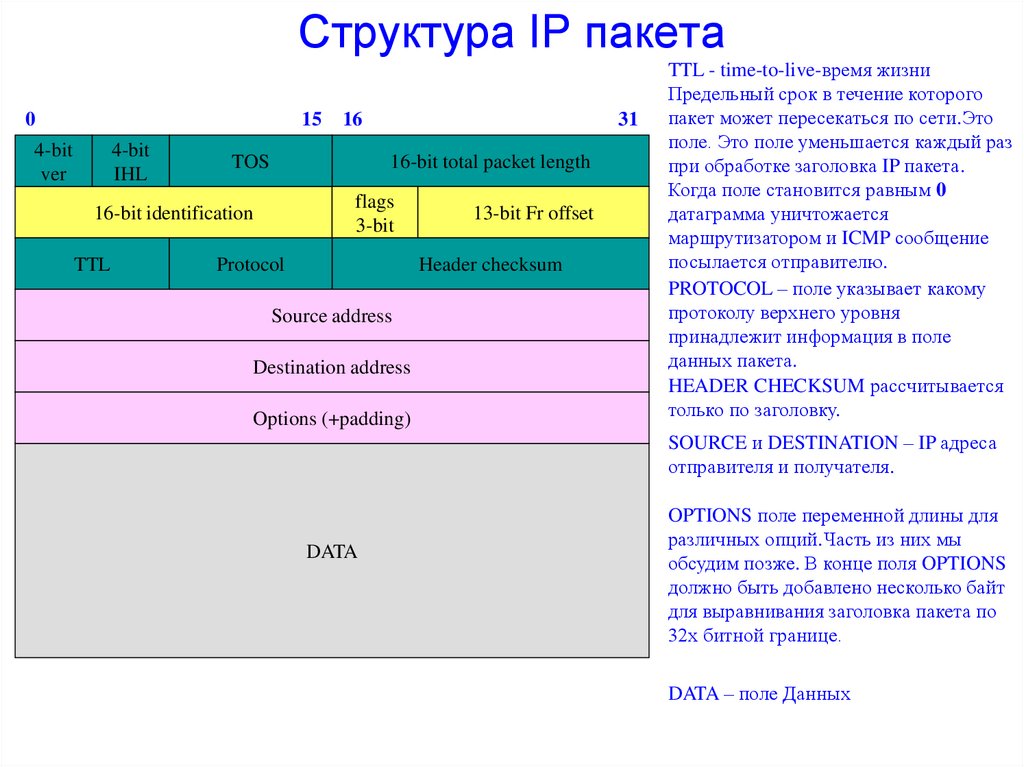 Структура IP пакета