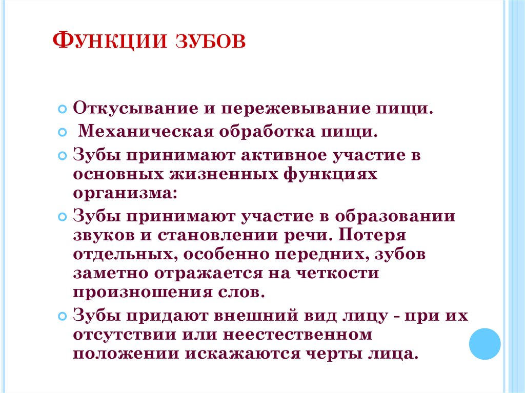 Функции зубов