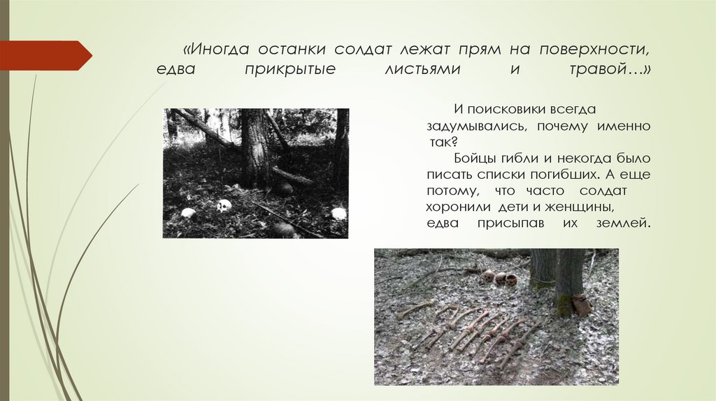 «Иногда останки солдат лежат прям на поверхности, едва прикрытые листьями и травой…» И поисковики всегда задумывались, почему