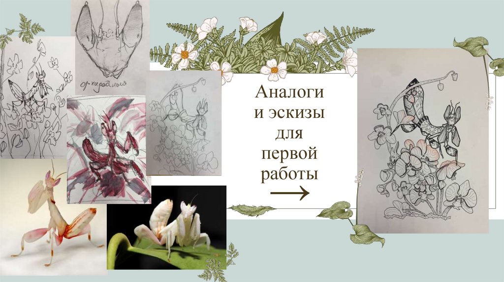 Аналоги и эскизы для первой работы