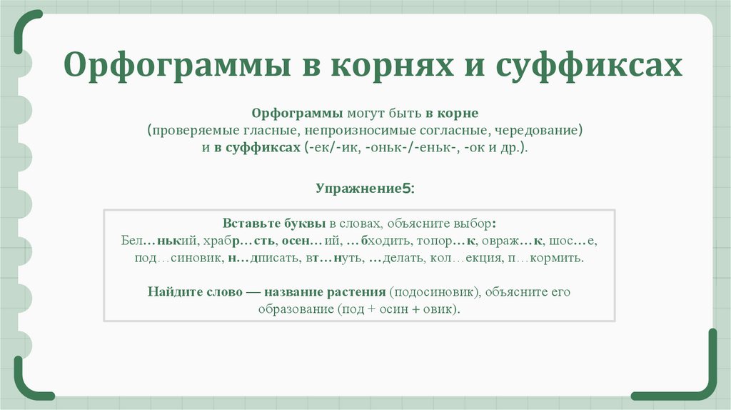  Орфограммы в корнях и суффиксах