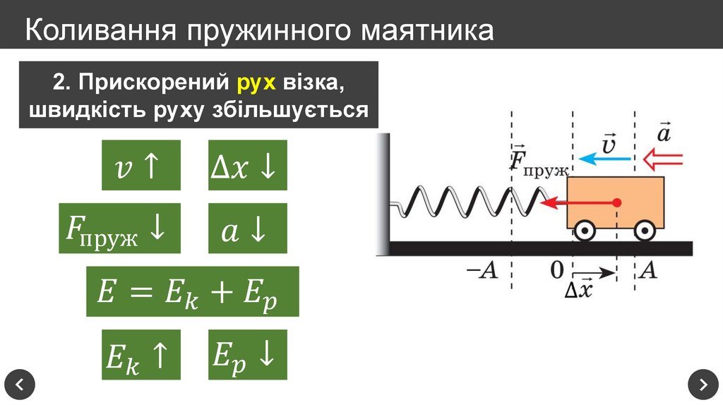Коливання пружинного маятника