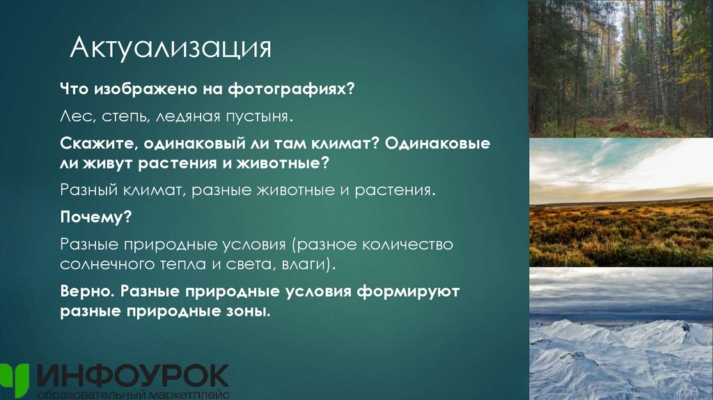 Актуализация