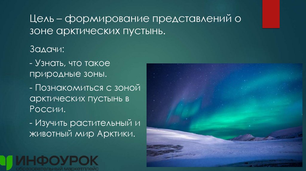 Цель – формирование представлений о зоне арктических пустынь.