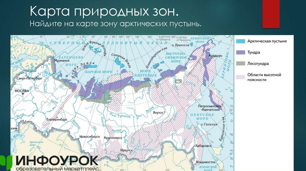 Карта природных зон. Найдите на карте зону арктических пустынь.