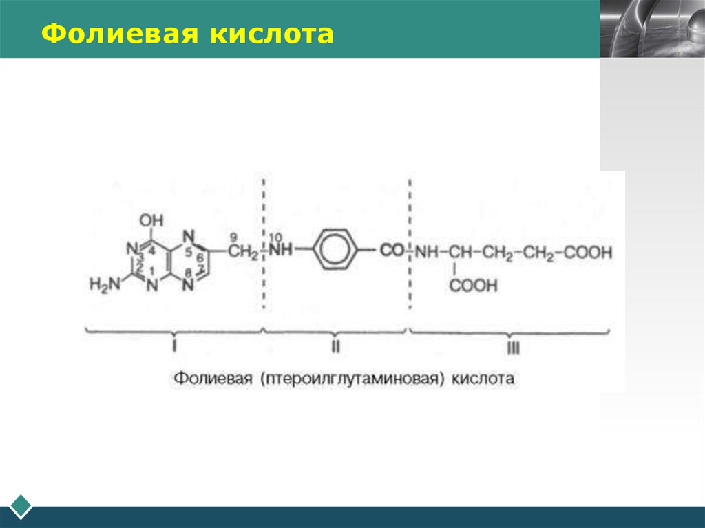 Фолиевая кислота