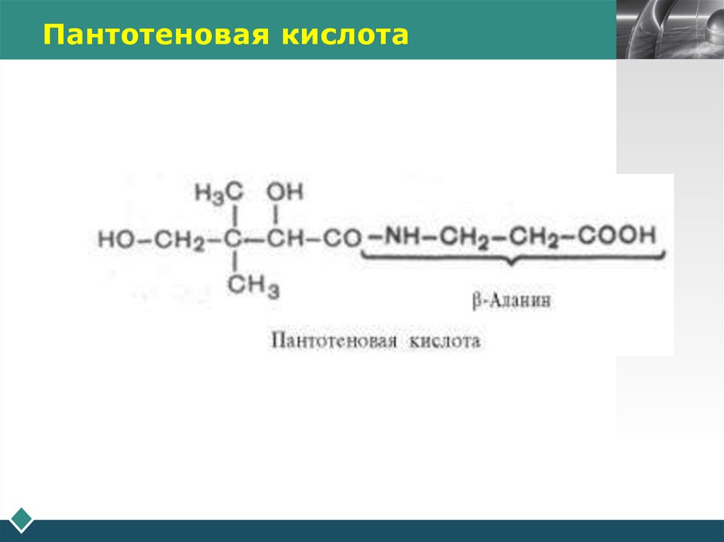 Пантотеновая кислота