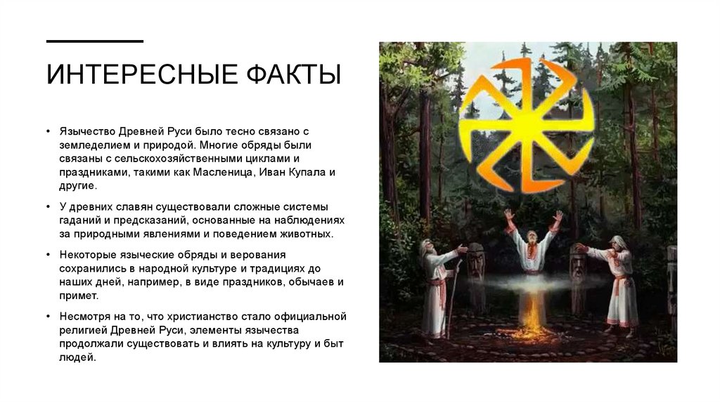 Интересные факты