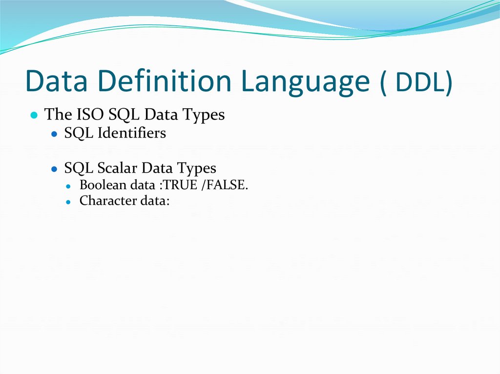 Data Definition Language ( DDL)