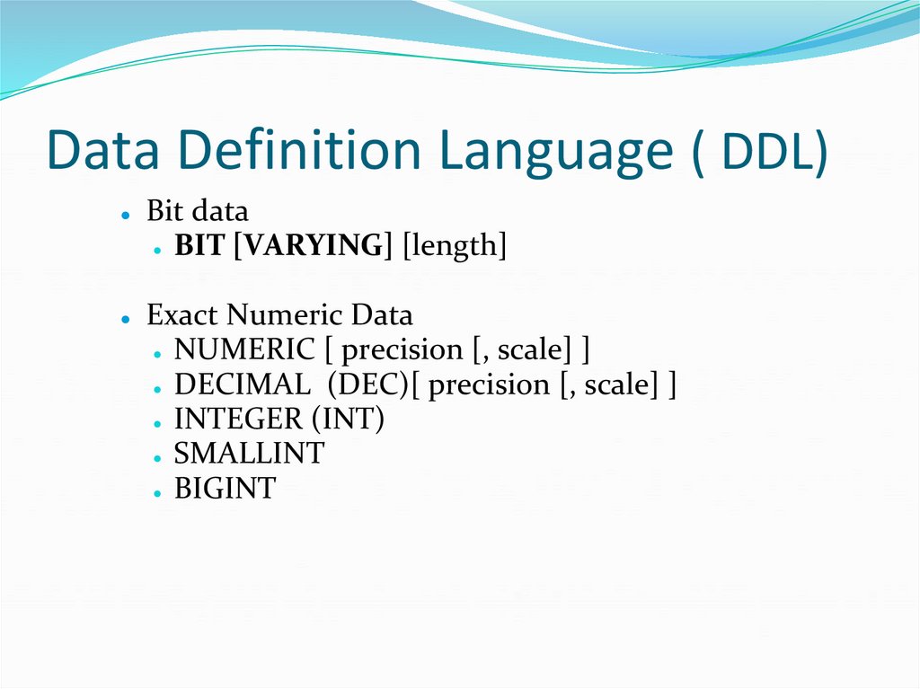 Data Definition Language ( DDL)