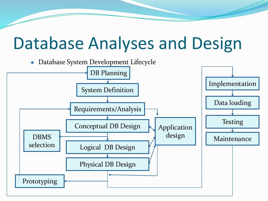 Database Analyses and Design