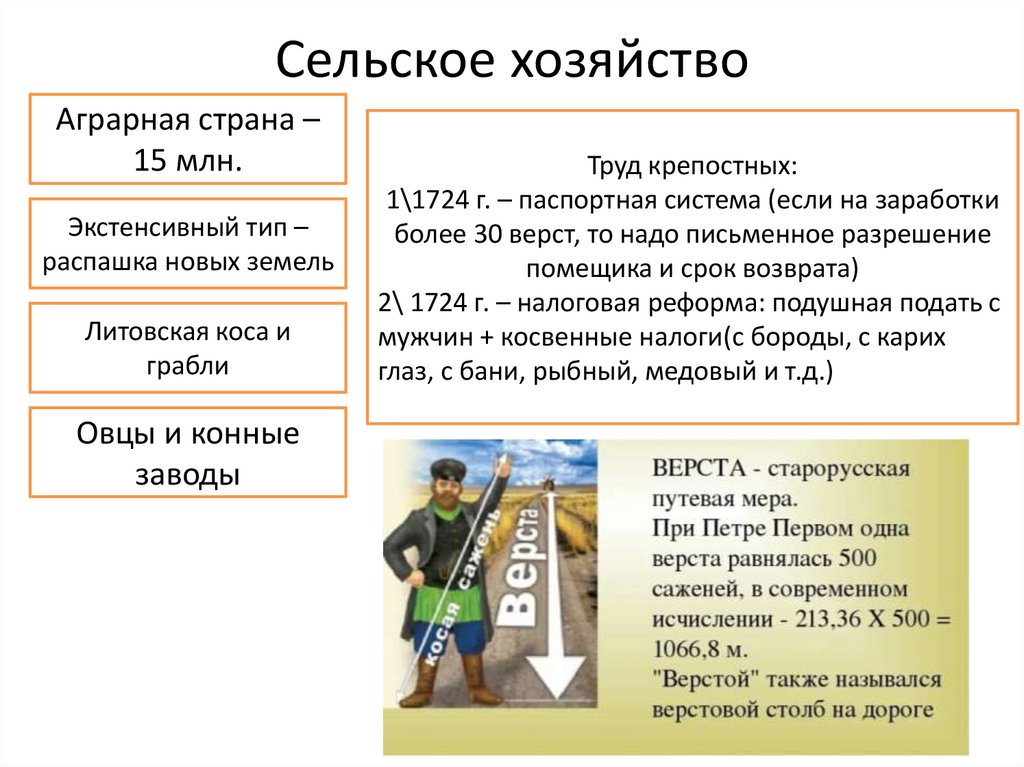 Сельское хозяйство