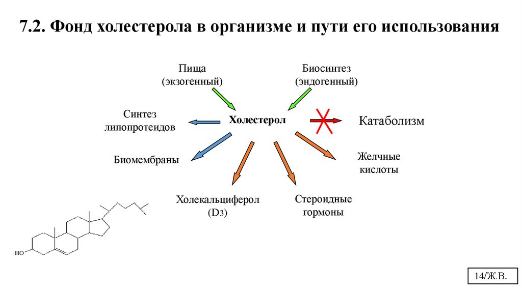Холестерол