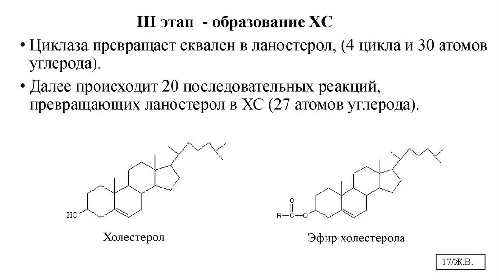 Холестерол