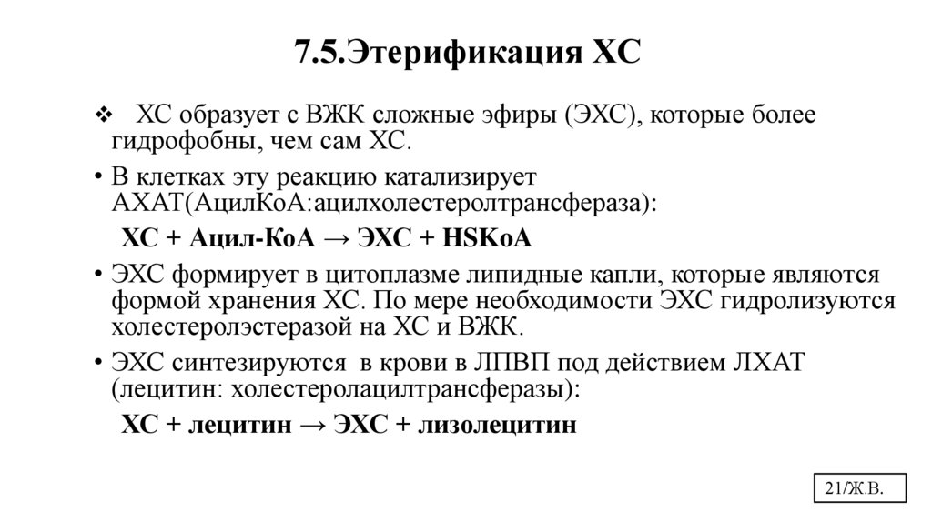 7.5.Этерификация ХС