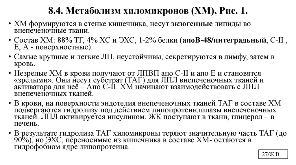 8.4. Метаболизм хиломикронов (ХМ), Рис. 1.