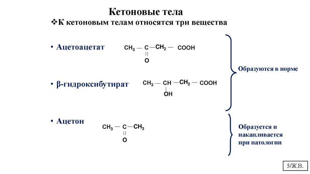 Кетоновые тела