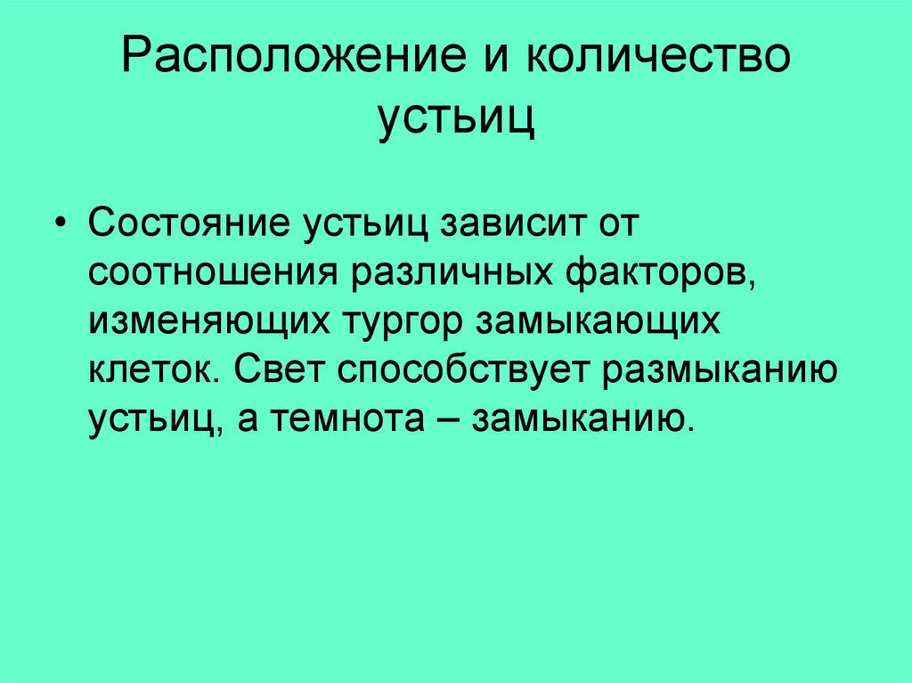 Расположение и количество устьиц