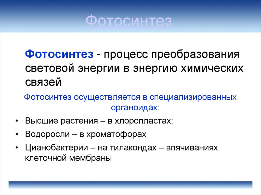 Фотосинтез