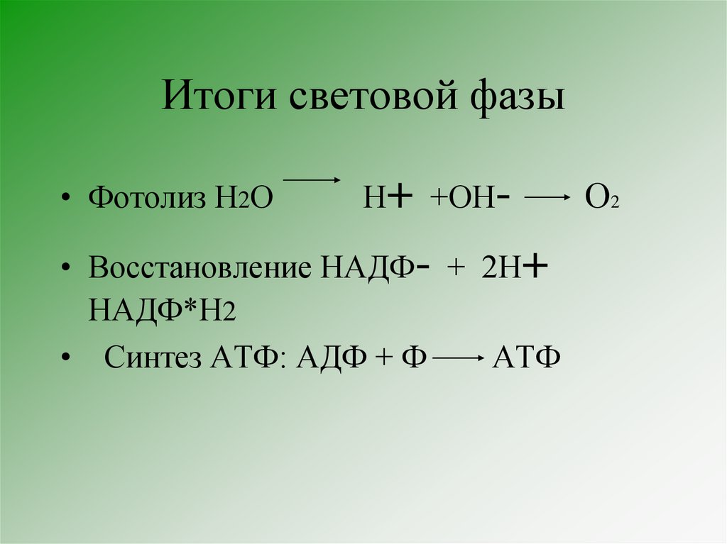 Итоги световой фазы