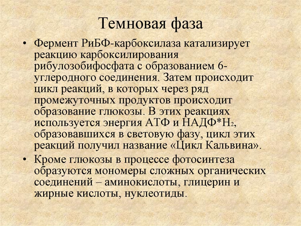 Темновая фаза