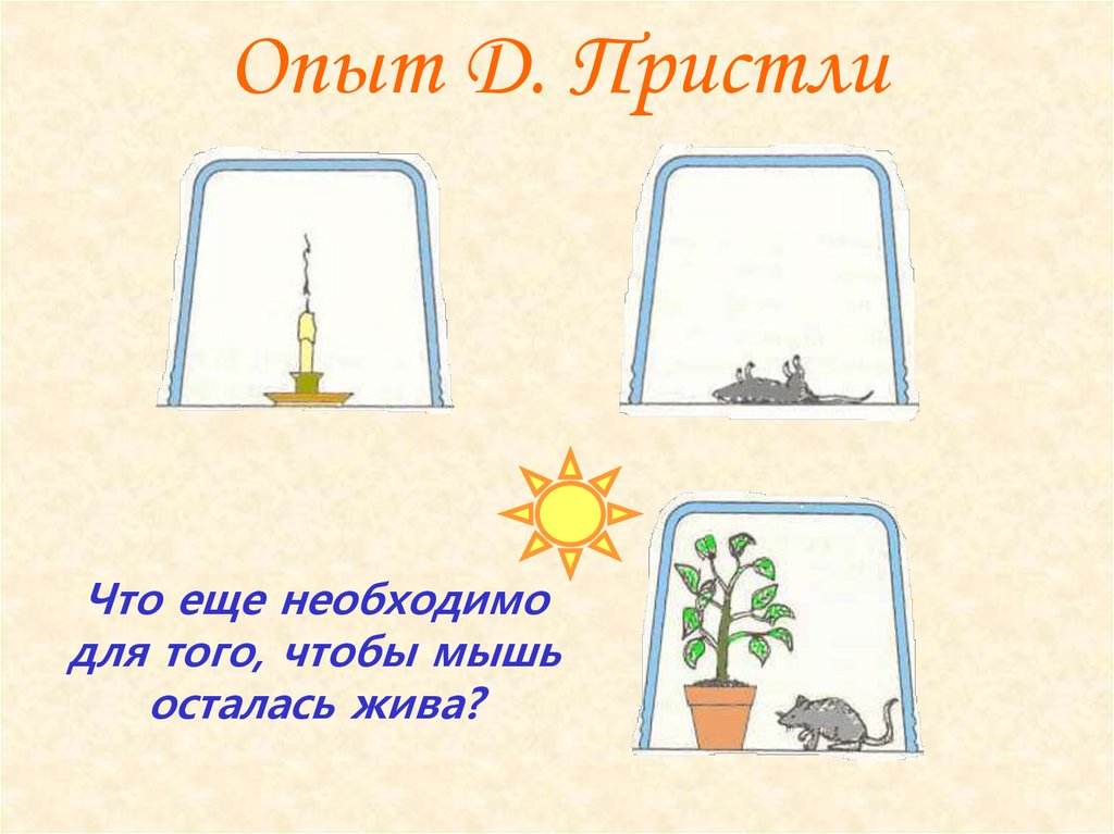 Опыт Д. Пристли