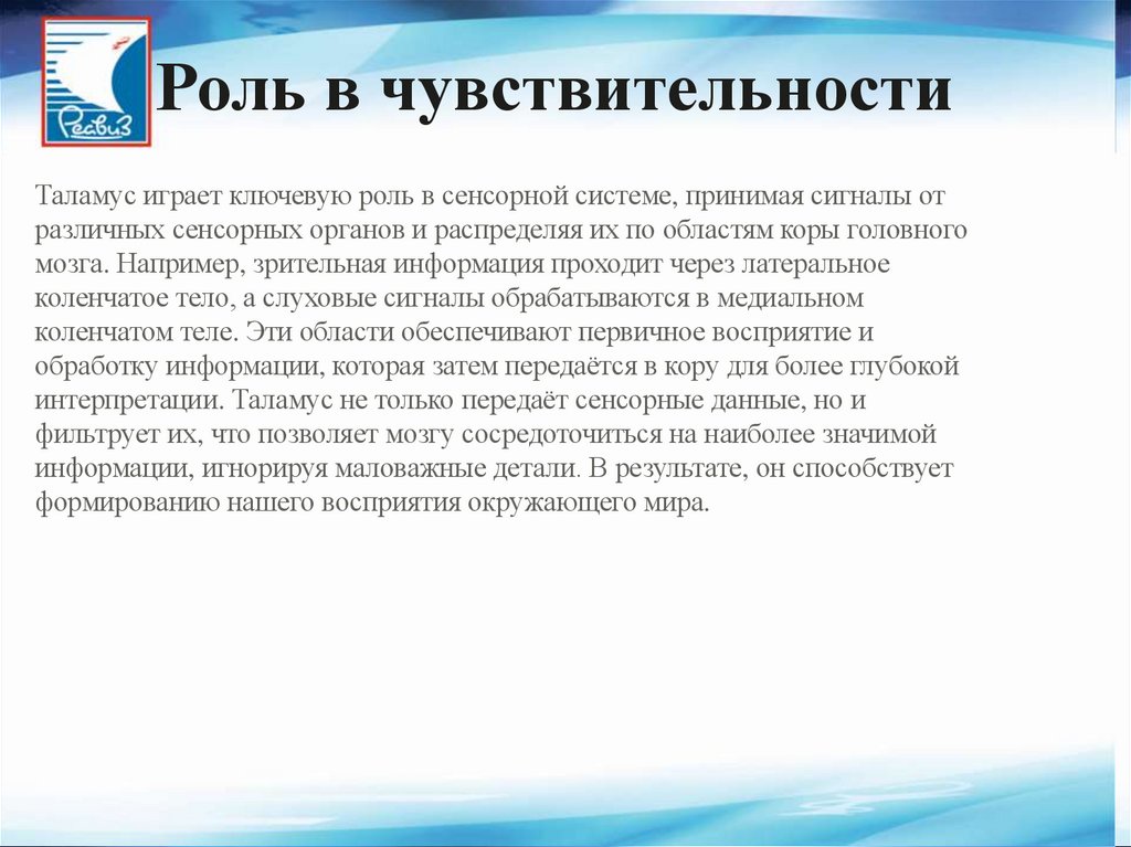 Таламус играет ключевую роль в сенсорной системе, принимая сигналы от различных сенсорных органов и распределяя их по областям