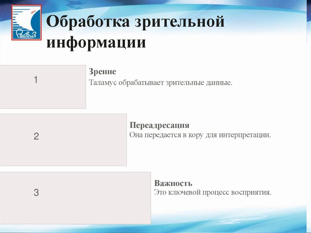 Обработка зрительной информации