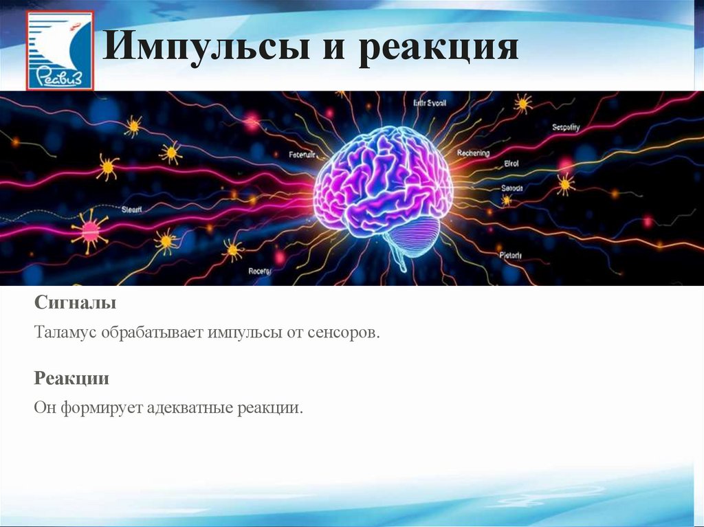 Импульсы и реакция