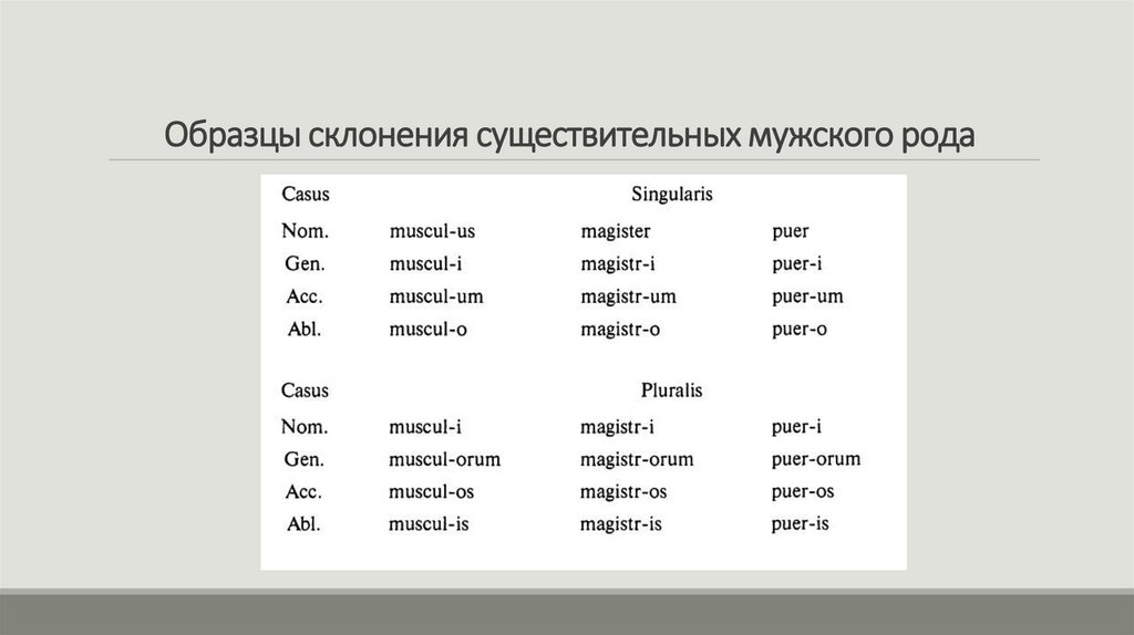 Образцы склонения существительных мужского рода
