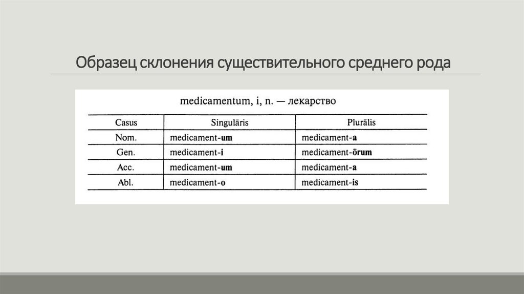 Образец склонения существительного среднего рода