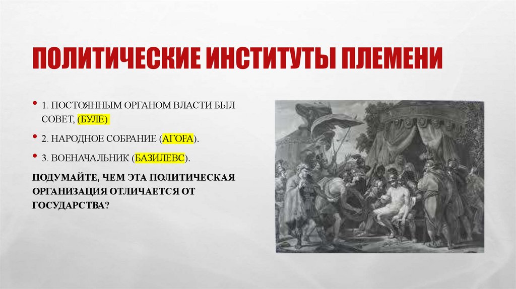 Политические институты племени