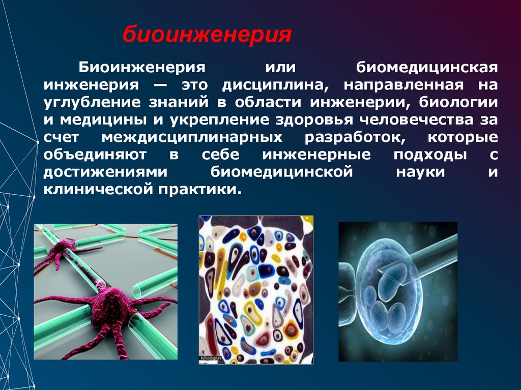 биоинженерия