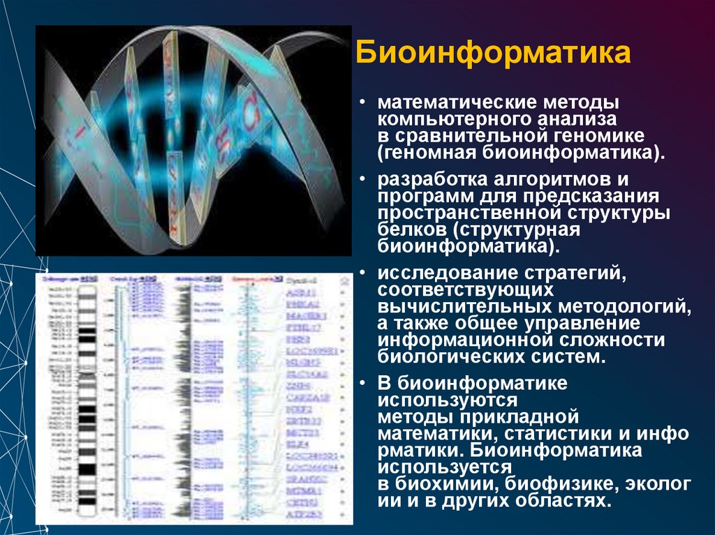 Биоинформатика