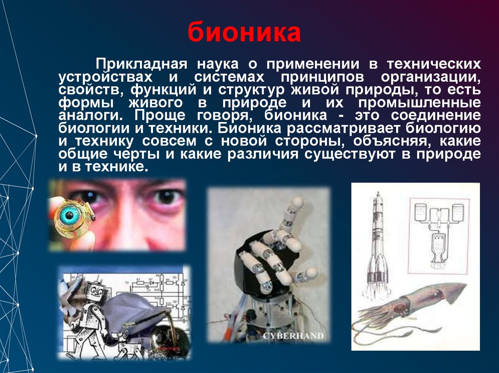 бионика