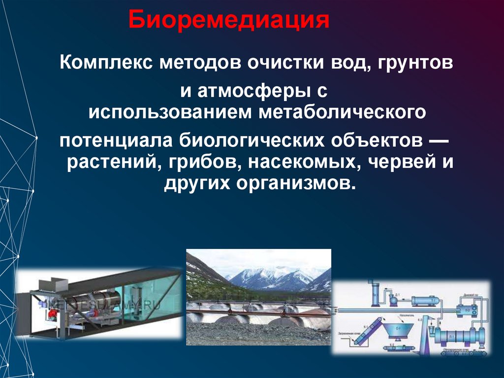 Биоремедиация 