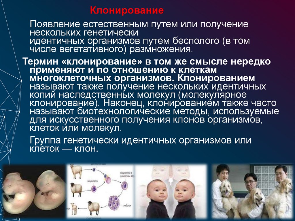 Клонирование 