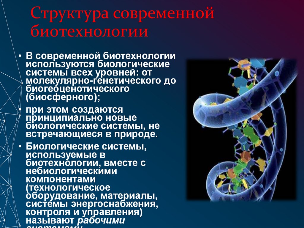 Структура современной биотехнологии