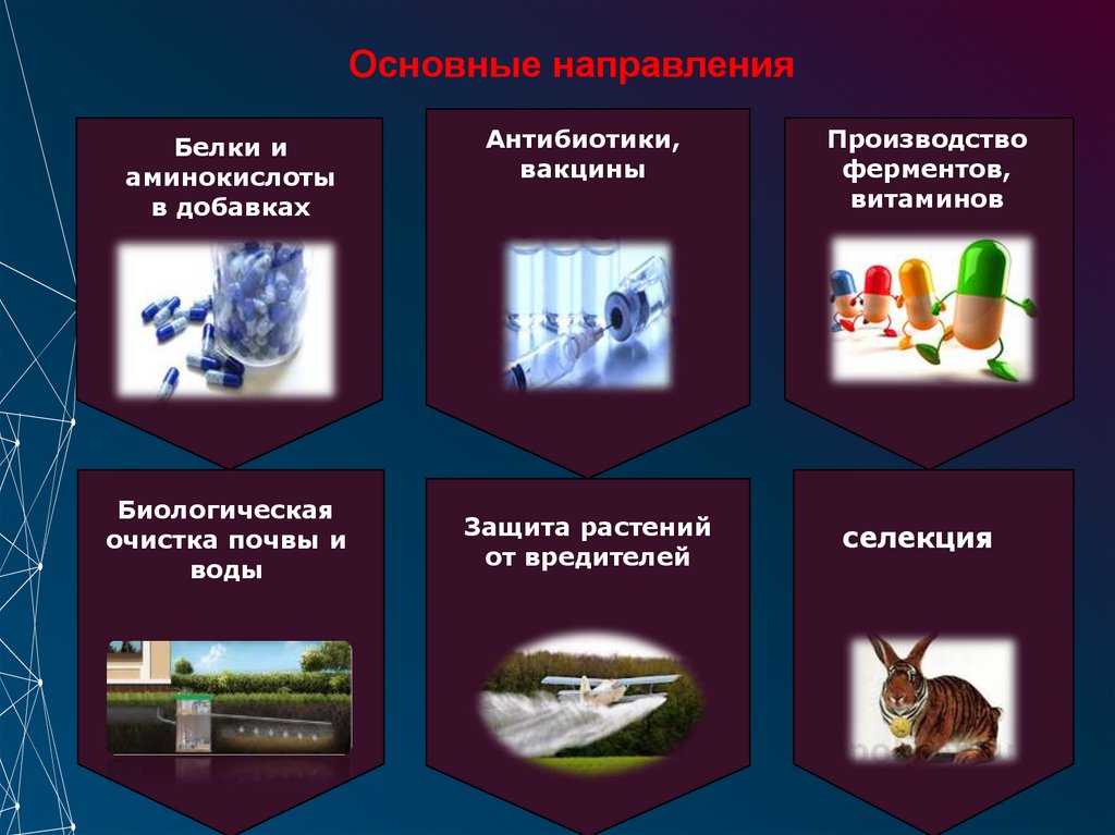 Основные направления