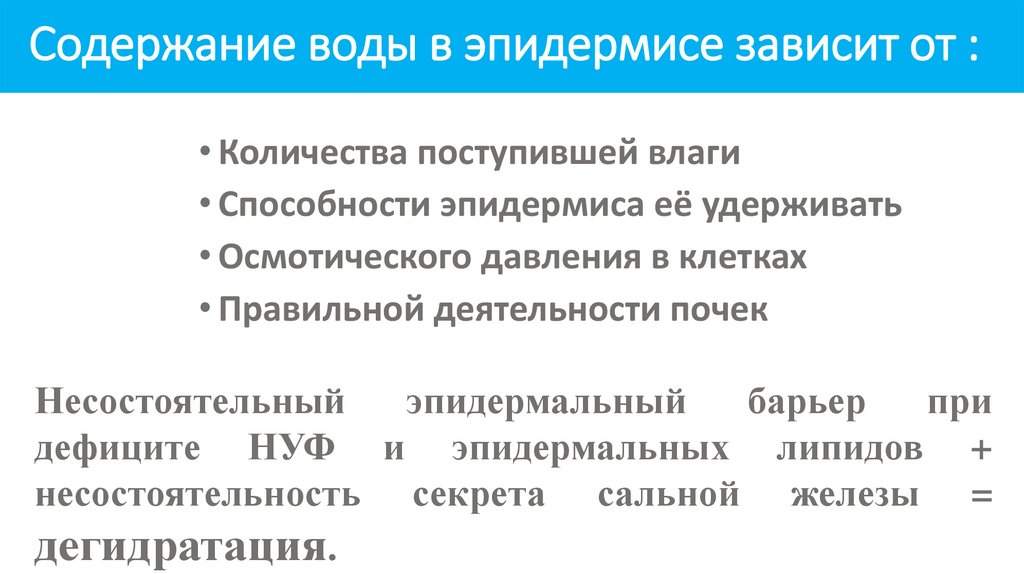 Содержание воды в эпидермисе зависит от :