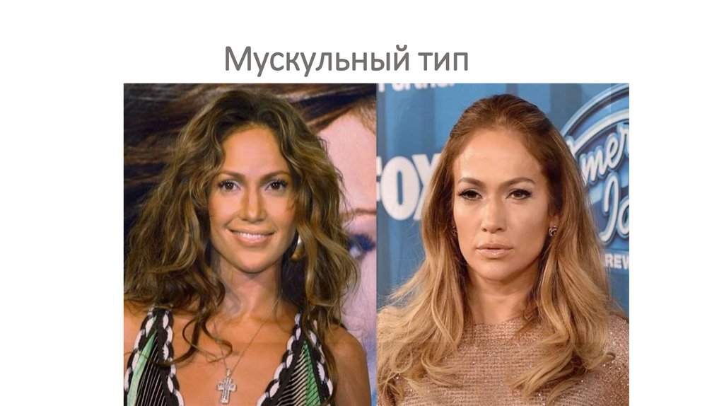 Мускульный тип