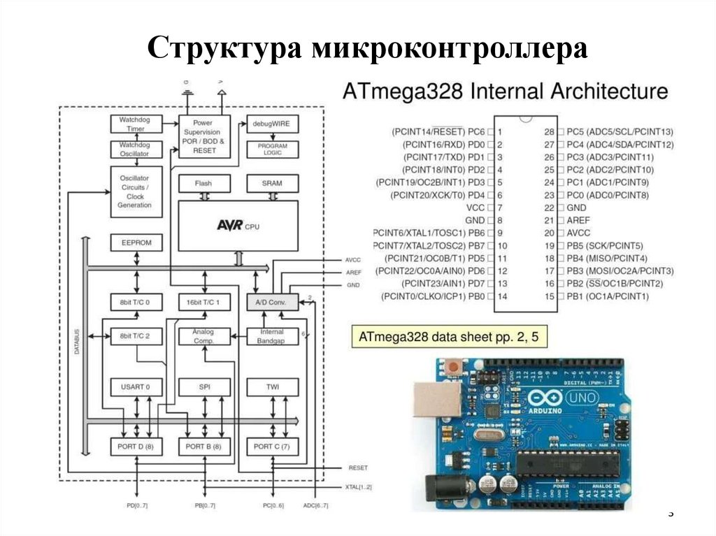 Структура микроконтроллера