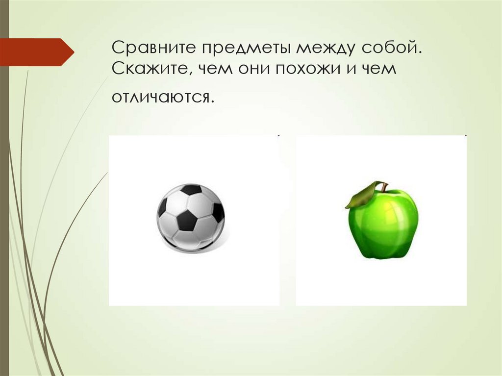 Сравните предметы между собой. Скажите, чем они похожи и чем отличаются.
