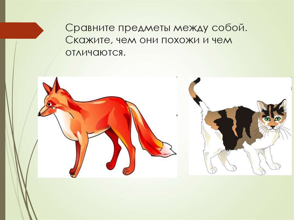 Сравните предметы между собой. Скажите, чем они похожи и чем отличаются.