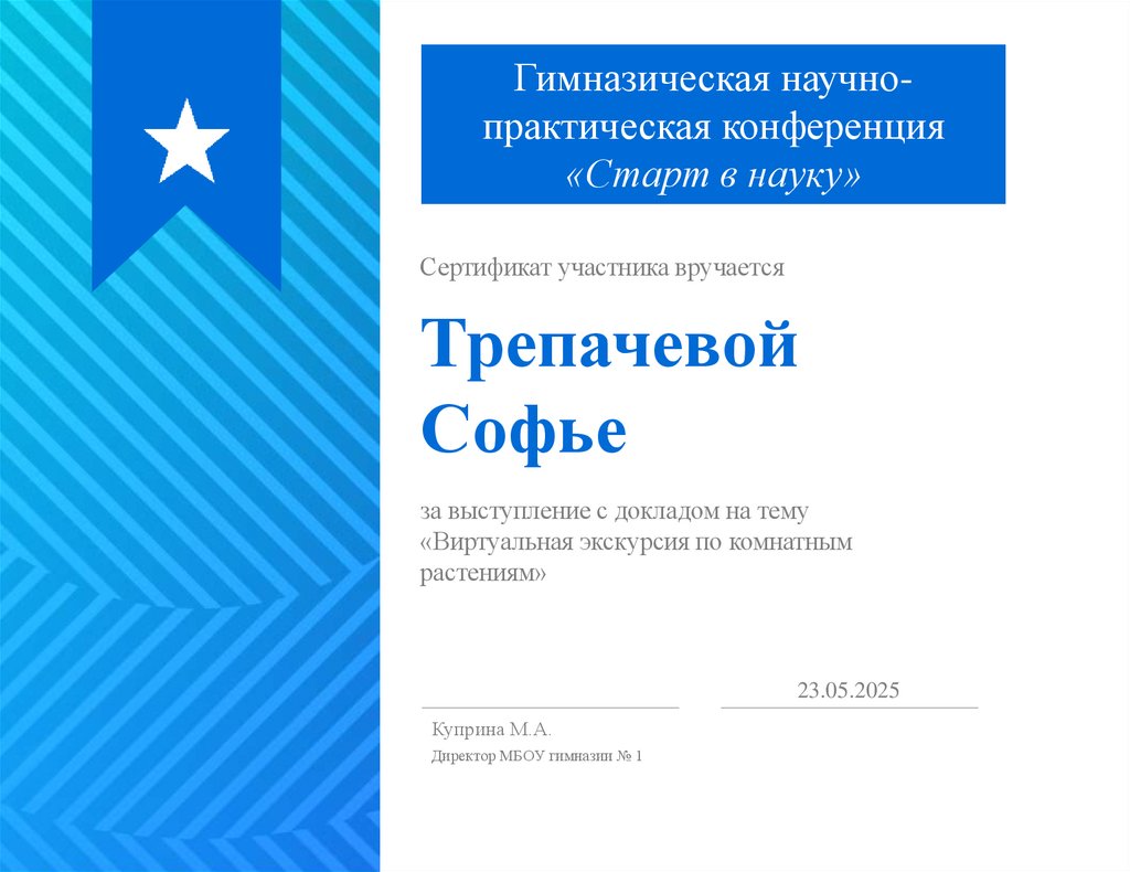 Трепачевой Софье