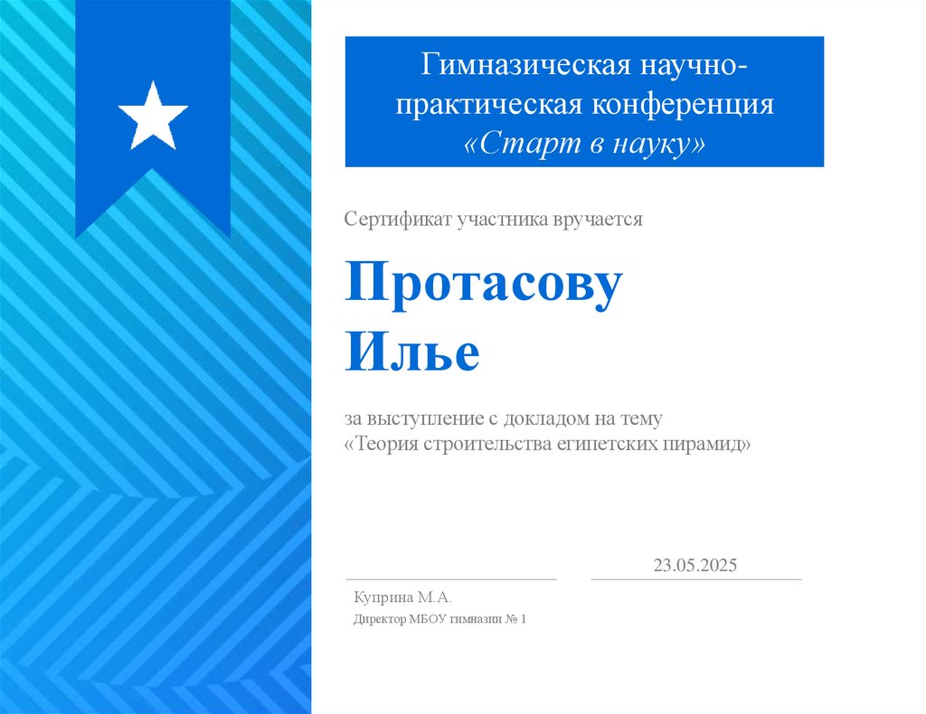 Протасову Илье