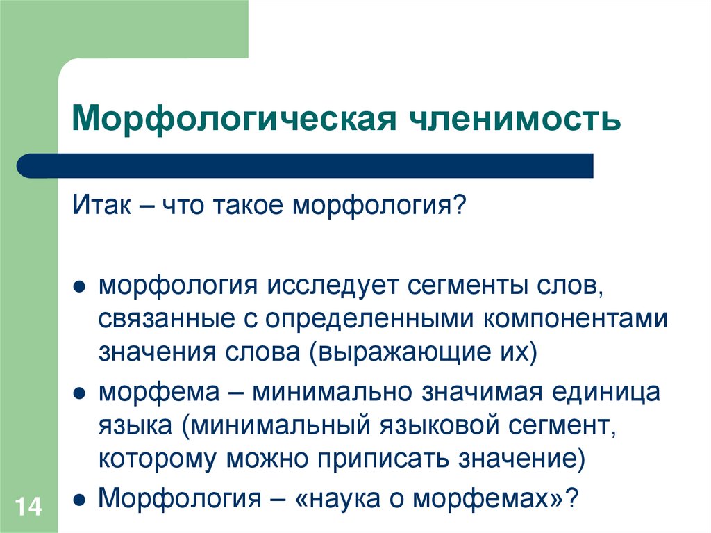 Морфологическая членимость