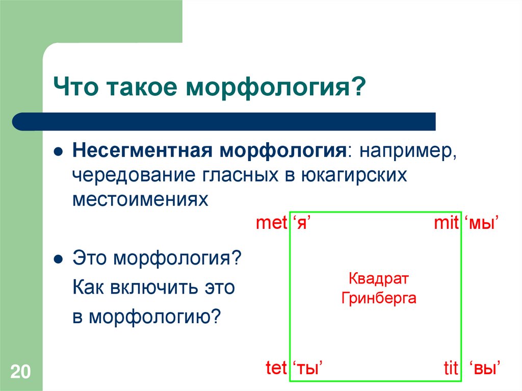 Что такое морфология