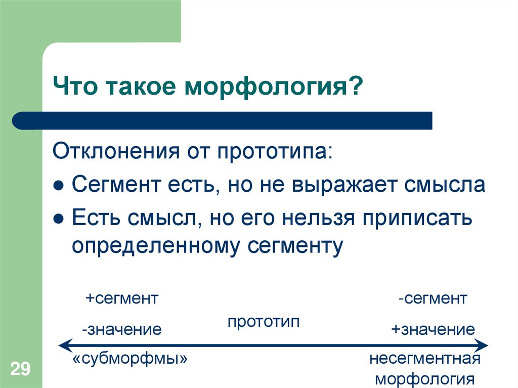 Что такое морфология?