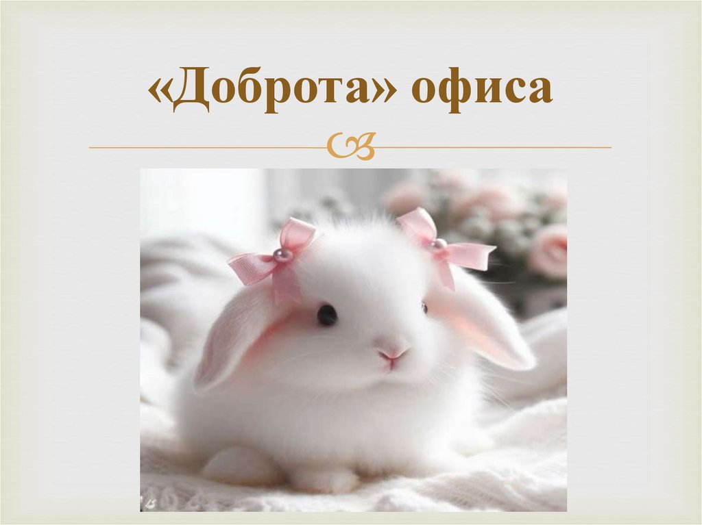 «Доброта» офиса